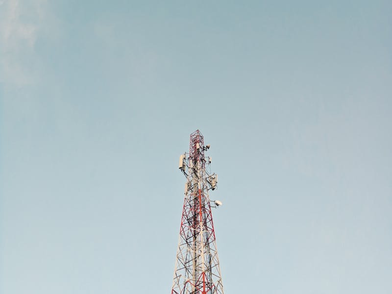 pexels-photo-5021402